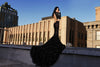 Black Widow - Stello - Gowns - Designer - Dress - Wedding dress - Stephanie Costello - Michael Costello -